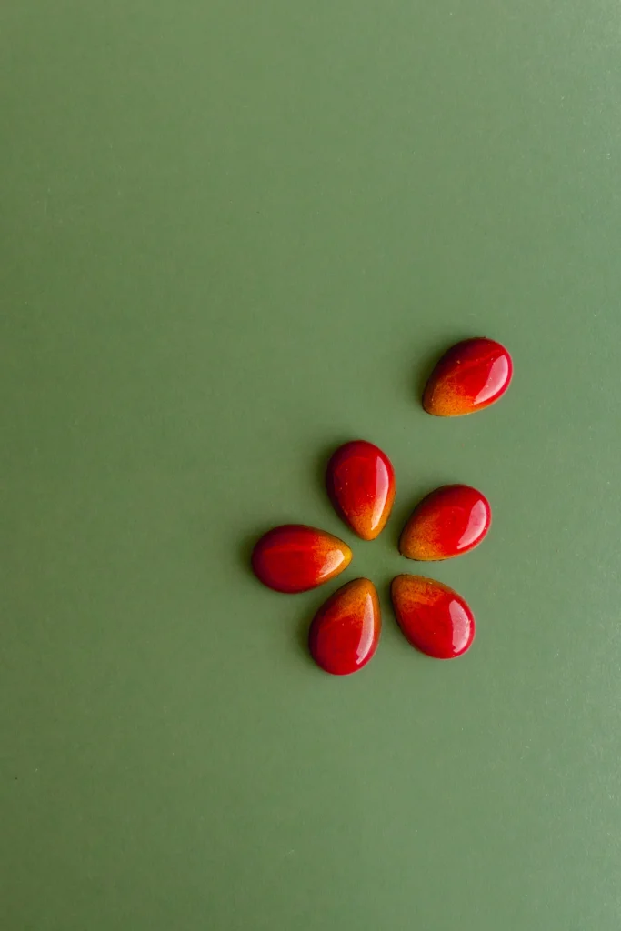 cioccolato sostenibile Nuseya