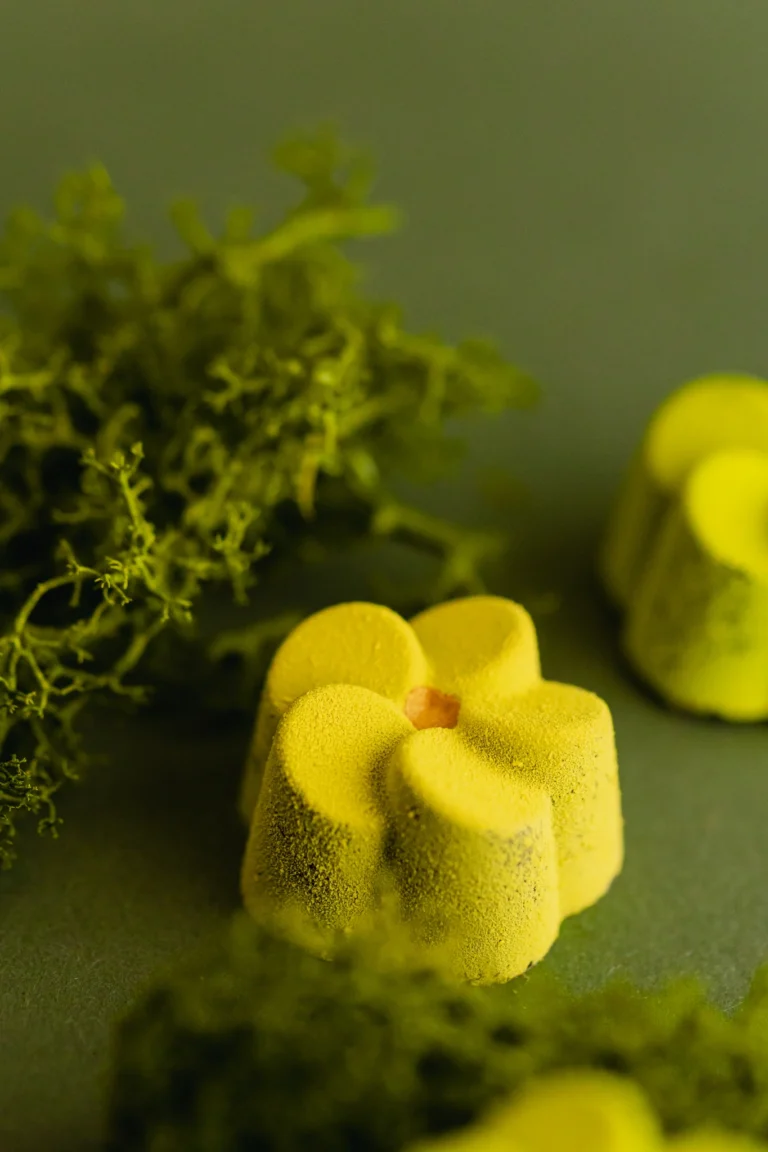 ingredienti selezionati cioccolateria Nuseya Romano d'Ezzelino